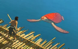 Der Mann und die Schildkr&ouml;te kommunizieren miteinander ohne Worte.