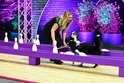 Melanie Fydrich mit ihrem Border Collie Trouble im Finale.