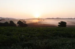 Sonnenaufgang &uuml;ber den Naturwiesen rundum Sankt Anna am Aigen.
