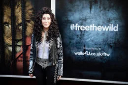 Cher