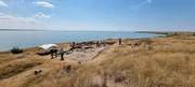 Grabung an der Mündung des Flusses Bug in das Schwarze Meer in der Ukraine. In der Antike lag hier die griechische Kolonie Olbia, wo der Geschichtsschreiber Herodot mit eigenen Augen Amazonen gesehen haben soll. Grabung an der Mündung des Flusses Bug in das Schwarze Meer in der Ukraine. In der Antike lag hier die griechische Kolonie Olbia, wo der Geschichtsschreiber Herodot mit eigenen Augen Amazonen gesehen haben soll.