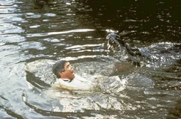 Lassard (George Gaynes) ist sich nicht mehr sicher, was ihm lieber ist: Die Gangster oder das Krokodil?