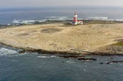 W&auml;hrend der Brutzeit besiedeln mehr als 100.000 Kapt&ouml;lpel die Insel Bird Island in S&uuml;dafrika.