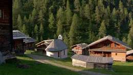 Die Oberstalleralm im Osttiroler Villgratental liegt auf 1860 Metern H&ouml;he und ist seit Generationen eine Gemeinschaftsalm.