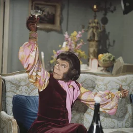 Dr. Cornelius (Roddy McDowall) muss schon bald erkennen, dass das Leben auf der Erde auch so seine T&uuml;cken hat ...