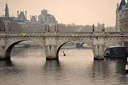 Seine Brücke im Stadtzentrum von Paris mit vorbeifliegenden Gänsen. Die Tiere kommunizieren während ihres Fluges mit Kontaktrufen.