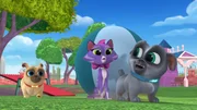 L-R: Rolly (voiced by Sam Lavagnino), Hissy (voiced by Jessica DiCicco), Bingo (voiced by Issac Ryan Brown