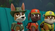 L-R: Tracker, Zuma, Rubble