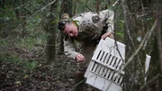 Warden Lauren Isles releasing the baby raccoon in the woods.