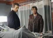 Ein Freund braucht Hilfe: Hugh Laurie als Dr. Gregory House, Hillary Tuck als Kara Mason, D.B. Sweeney als Dylan Crandall. Ein Freund braucht Hilfe: Hugh Laurie als Dr. Gregory House, Hillary Tuck als Kara Mason, D.B. Sweeney als Dylan Crandall.