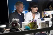 Ein neuer Fall beschäftigt Gibbs (Mark Harmon, l.) und Abby (Pauley Perrette, r.) ...