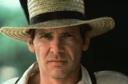 Bei seinen Ermittlungen kommt Polizeidetektiv John Book (Harrison Ford) einem polizeiinternen Drogenkartell auf die Spur ...
