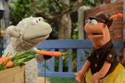 Wolle und Pferd haben die Rollen getauscht, seither futtert das kleine Schaf haufenweise Möhren...Finchen versteht die Welt nicht mehr