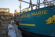 The Cornelia Marie