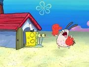 v.li.: Gary, BunnyKrabs