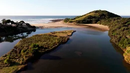 Die Wild Coast: dichte K&uuml;stenw&auml;lder, raue Klippen &ndash; und ein Paradies f&uuml;r Surfer.