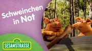 Zwei kleine Schweinchen haben ein Problem. Ihr Boot fährt nicht auf dem Fluss. Das ist ein Fall für Super Grobi 2.0.
