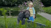 Lena und Benedict (von li nach re: Yaron Mesika, Isa Jansen) besuchen das Grab von Lenas Eltern auf dem Friedhof.