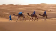Bis heute ziehen Beduinen als Nomaden durch die Sahara, wobei Dromedare ihre unentbehrlichen Begleiter sind.