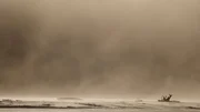 Die größte Umweltkatastrophe in der Geschichte der USA war ein Staubsturm. Der sogenannte "Dust Bowl" veränderte die Geschichte des Landes. Die größte Umweltkatastrophe in der Geschichte der USA war ein Staubsturm. Der sogenannte "Dust Bowl" veränderte die Geschichte des Landes.
