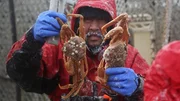 Mac White comparing crab in frigid cold temps.