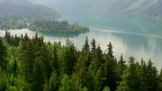 Blick über den Wald