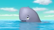 Baby whale