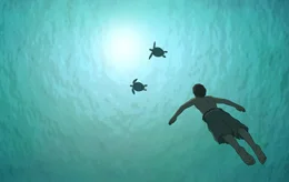 Ein Mann schwimmt zusammen mit Schildkr&ouml;ten im Wasser.