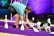Stefan Kuciara mit seinem Terrier-Münsterländer-Mix Marley im Finale.