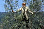 George Emerson (Julian Sands)
