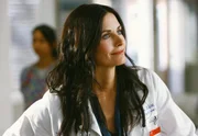 Während Dr. Maddox (Courteney Cox), der Ersatz für Dr. Kelso, die Dinge im Krankenhaus gleich mal kräftig aufmischt, hat J.D. hat ganz andere Probleme, denn ihm ist nun eine Gruppe inkompetenter Internisten unterstellt ...