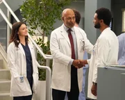 (v.l.n.r.) Dr. Amelia Shepherd (Caterina Scorsone); Dr. Richard Webber (James Pickens jr.); Dr. Winston Ndugu (Anthony Hill)