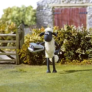 Shaun und seine Freunde leben auf der Weide eines idyllisch gelegenen Bauernhofes.