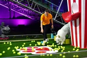 Sonja Hartmann mit ihrem Schweizer Schäferhund Arthur im Finale.