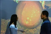 Laserscan einer Bola. An der "schlechtesten" Stelle hat sie nur 0,5 Zentimeter Abweichung von der idealen Kugel.