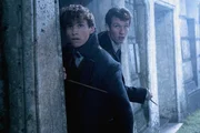 L-R: Newt Scamander (Eddie Redmayne) und Theseus Scamander (Callum Turner)