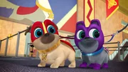 L-R: Rolly (voiced by Sam Lavagnino), Bingo (voiced by Issac Ryan Brown)