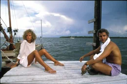 L-R: Molly Graham (Kim Greist),  Will Graham (William Petersen)