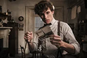 Folgt dem Ruf von Dumbledore: Newt Scamander (Eddie Redmayne)