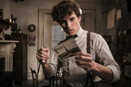 Folgt dem Ruf von Dumbledore: Newt Scamander (Eddie Redmayne)
