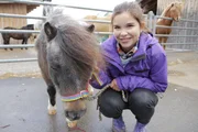 Anna und Mini-Shetlandpony "Lillemor", die Mini-Shetties sind die kleinsten Ponys der Welt. Anna und Mini-Shetlandpony "Lillemor", die Mini-Shetties sind die kleinsten Ponys der Welt.