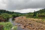 Fluss im Kielder Forest in Northumberland, England  +++