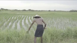 Landschaft in Bissau.