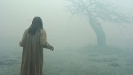 Die Studentin Emily Rose (Jennifer Carpenter) ist nicht mehr Herr ihrer selbst. Immer wieder leidet sie unter Wahnvorstellungen, sieht D&auml;monen und sp&uuml;rt, wie teuflische M&auml;chte die Kontrolle &uuml;ber sie ergreifen.