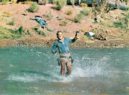 Blue (Terence Stamp)