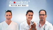 Stephanie Petersen, Dr. Yasmin Diepenbruck, Dr. Tobias Neuberger (v.l.n.r.) Stephanie Petersen, Dr. Yasmin Diepenbruck, Dr. Tobias Neuberger (v.l.n.r.)