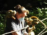 Mel Feeding Squirrel Monkeys.