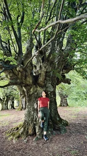 Uralte B&auml;ume: In Transsilvanien gibt es Buchen, die mehr als 500 Jahre alt sind. Im Bild: Hannah Emde