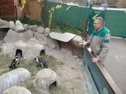ARD/SWR EISBÄR, AFFE & CO FOLGE 173, "Zoogeschichten aus Stuttgart". ARD/SWR EISBÄR, AFFE & CO FOLGE 173, "Zoogeschichten aus Stuttgart".