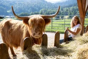 Christine Baumann bei ihren Schottischen Hochlandrindern auf dem Biohof Baumann.